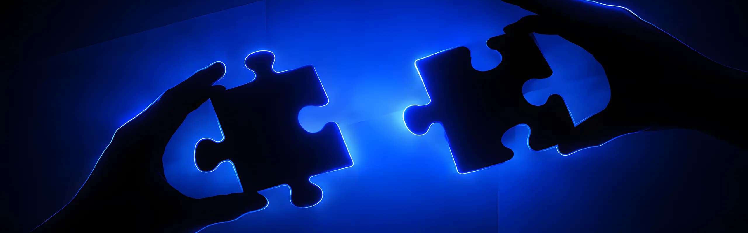 Two partners connecting complementary capabilities